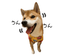 646226666