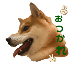 646226668