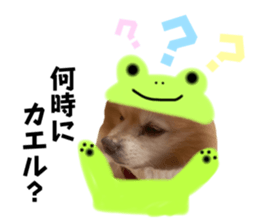 646228801