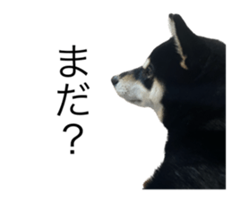 646234458