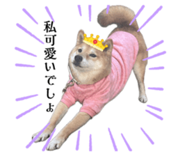 646239566