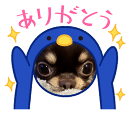 646247330