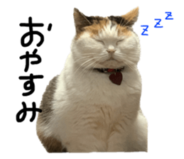 646277328
