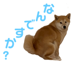 646277900