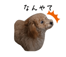 646278605