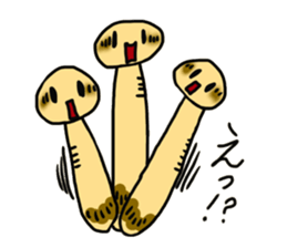 6463294
