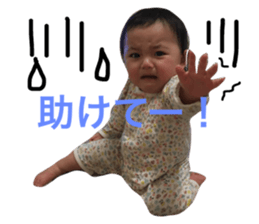 646348130