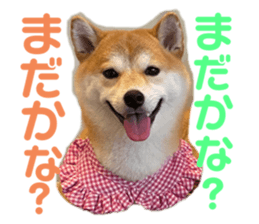 646349651