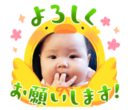 646350790