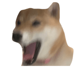 646369836