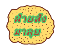 64637207