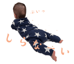646379091