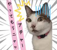 646414665