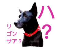 646418734