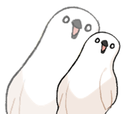 646444053