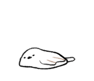 646444066
