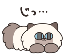 646452319