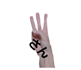 646462787