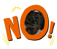 646473553
