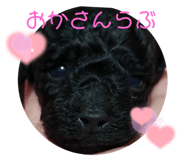 646473567