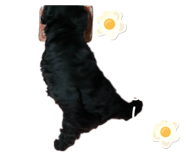 646473582