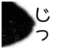 646473586