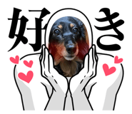 646544125