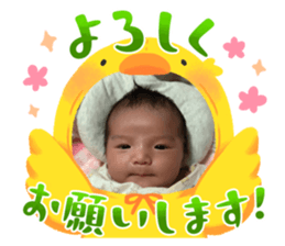 646544585