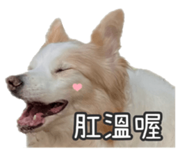 646545949