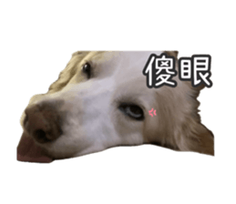 646545953