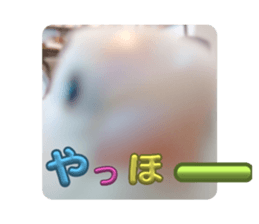 646546951