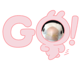 646546956