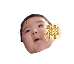 646554491