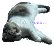 646556048