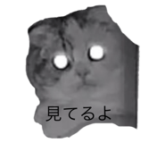 646556049