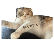 646556051