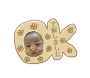 646563377