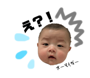 646563384