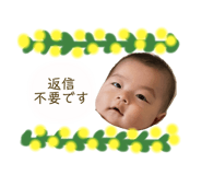 646563385