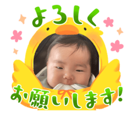646564381