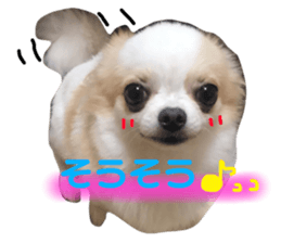 64658935