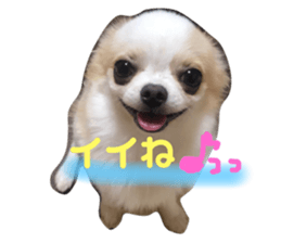 64658938