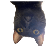 646592742