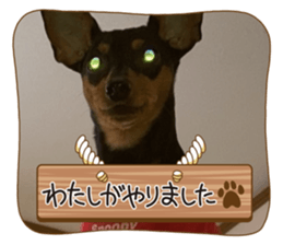646593648