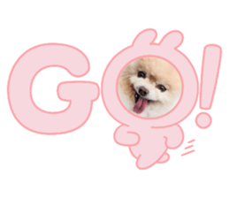 646594395
