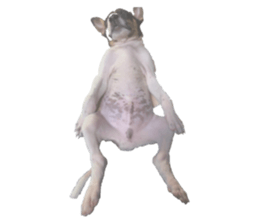 646595519