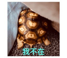 646613861