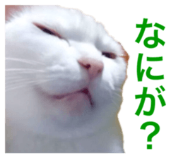 646615253