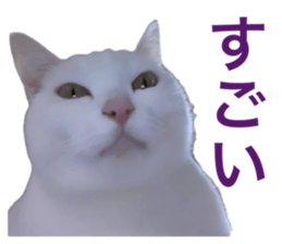646615262