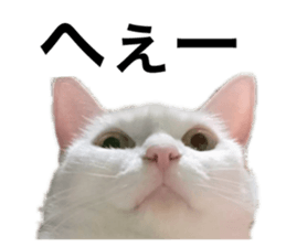 646615265